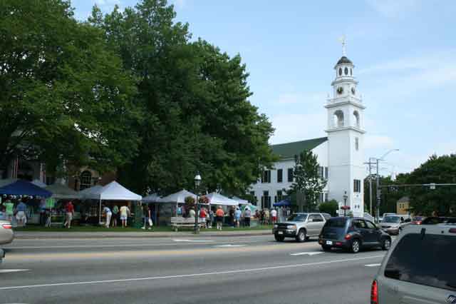 long view of blueberry & Craft Fair