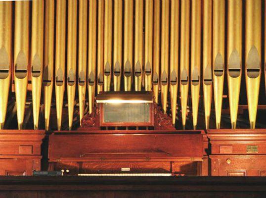 Our-organist-plays-in-a-forest-of-pipes